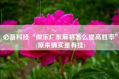 必备科技“微乐广东麻将怎么提高胜率	”(原来确实是有挂)