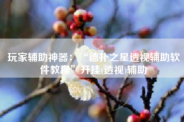 玩家辅助神器：“德扑之星透视辅助软件教程”开挂(透视)辅助