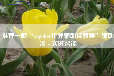 推荐一款“wepoker作弊辅助挂教程”辅助器 - 实时智能