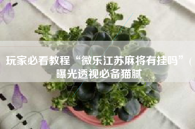 玩家必看教程“微乐江苏麻将有挂吗”(曝光透视必备猫腻