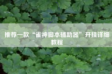 推荐一款“雀神脚本辅助器”开挂详细教程