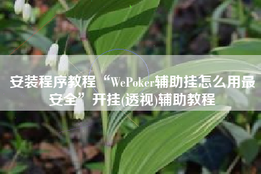安装程序教程“WePoker辅助挂怎么用最安全	”开挂(透视)辅助教程