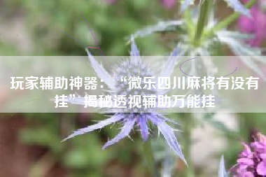 玩家辅助神器：“微乐四川麻将有没有挂	”揭秘透视辅助万能挂