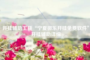 开挂辅助工具“宁夏微乐开挂免费软件”开挂辅助详细