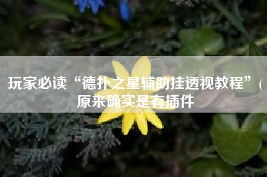 玩家必读“德扑之星辅助挂透视教程	”(原来确实是有插件