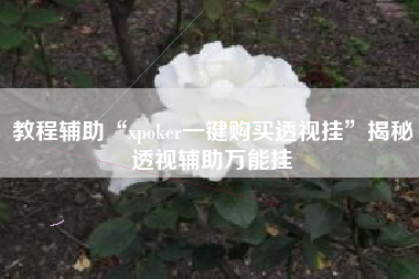 教程辅助“xpoker一键购买透视挂	”揭秘透视辅助万能挂