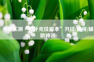 分享实测“微扑克挂脚本”开挂(透视)辅助神器