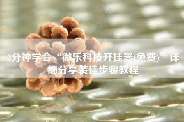 3分钟学会“微乐科技开挂器(免费)”详细分享装挂步骤教程