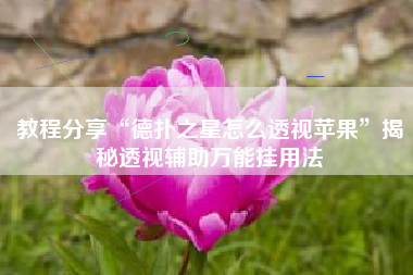 教程分享“德扑之星怎么透视苹果”揭秘透视辅助万能挂用法