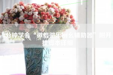 3分钟学会“微信微乐刨幺辅助器”附开挂脚本详细