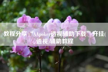 教程分享“AApoker透视辅助下载”开挂(透视)辅助教程