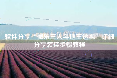 软件分享“微乐三人斗地主透视	”详细分享装挂步骤教程