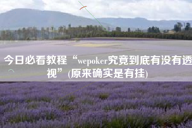 今日必看教程“wepoker究竟到底有没有透视”(原来确实是有挂)