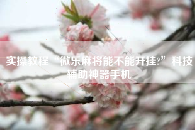 实操教程“微乐麻将能不能开挂?”科技辅助神器手机