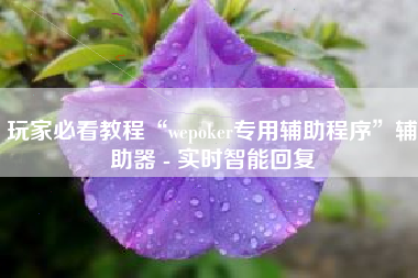 玩家必看教程“wepoker专用辅助程序	”辅助器 - 实时智能回复
