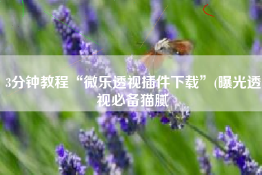 3分钟教程“微乐透视插件下载”(曝光透视必备猫腻