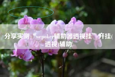 分享实测“wepoker辅助器透视挂	”开挂(透视)辅助