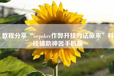 教程分享“wepoker作弊开挂方法原来	”科技辅助神器手机版