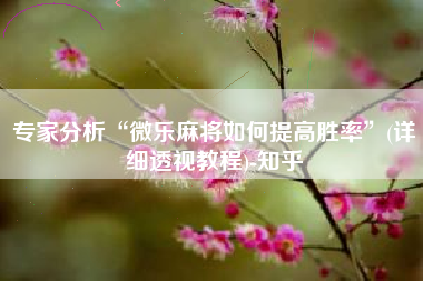 专家分析“微乐麻将如何提高胜率”(详细透视教程)-知乎