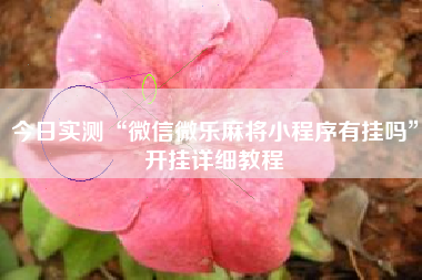 今日实测“微信微乐麻将小程序有挂吗”开挂详细教程