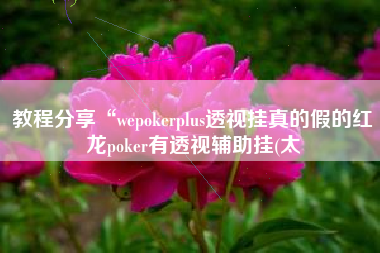 教程分享“wepokerplus透视挂真的假的红龙poker有透视辅助挂(太