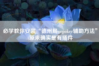 必学教你安装“德州局wepoker辅助方法	”(原来确实是有插件