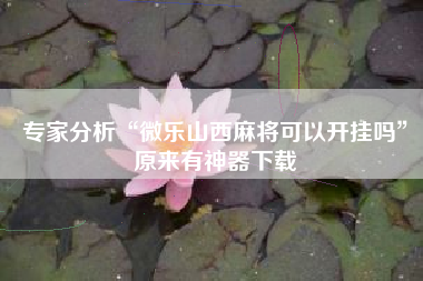 专家分析“微乐山西麻将可以开挂吗”原来有神器下载