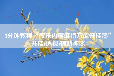 3分钟教程“微乐内蒙麻将万能开挂器”开挂(透视)辅助神器