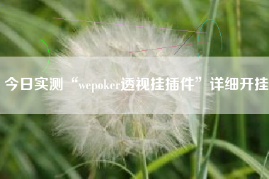 今日实测“wepoker透视挂插件	”详细开挂