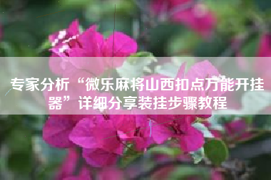 专家分析“微乐麻将山西扣点万能开挂器	”详细分享装挂步骤教程