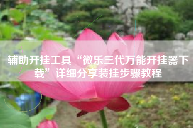 辅助开挂工具“微乐三代万能开挂器下载	”详细分享装挂步骤教程