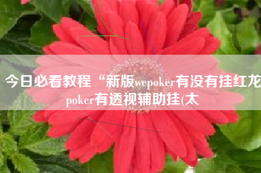 今日必看教程“新版wepoker有没有挂红龙poker有透视辅助挂(太