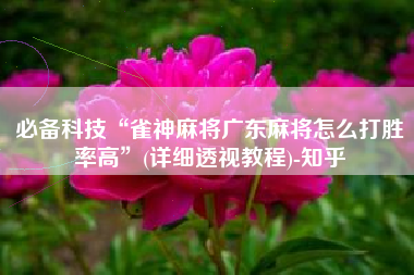 必备科技“雀神麻将广东麻将怎么打胜率高”(详细透视教程)-知乎