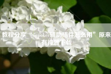 教程分享“wepoker辅助插件怎么用”原来有神器下载