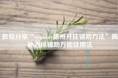 教程分享“wepoker德州开挂辅助方法	”揭秘透视辅助万能挂用法