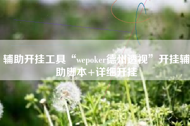 辅助开挂工具“wepoker德州透视”开挂辅助脚本+详细开挂