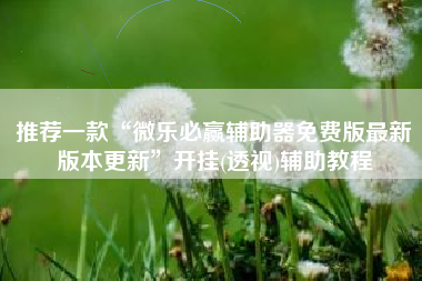 推荐一款“微乐必赢辅助器免费版最新版本更新”开挂(透视)辅助教程