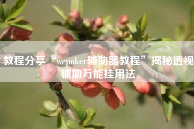 教程分享“wepoker辅助器教程	”揭秘透视辅助万能挂用法