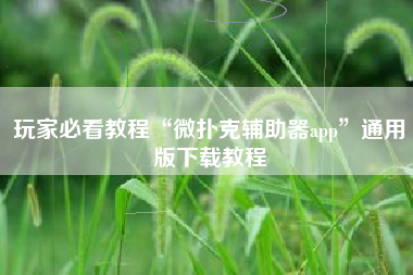 玩家必看教程“微扑克辅助器app”通用版下载教程