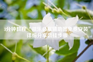 3分钟教程“微乐必赢辅助器免费安装”详细分享装挂步骤