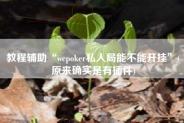 教程辅助“wepoker私人局能不能开挂”(原来确实是有插件)