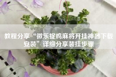 教程分享“微乐捉鸡麻将开挂神器下载安装	”详细分享装挂步骤