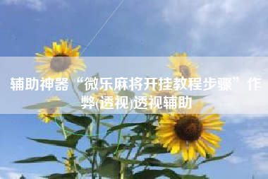 辅助神器“微乐麻将开挂教程步骤	”作弊(透视)透视辅助