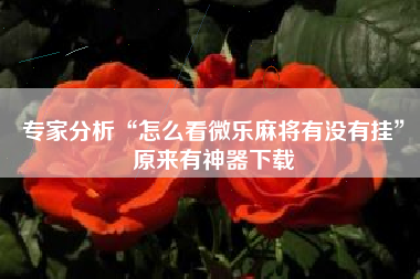 专家分析“怎么看微乐麻将有没有挂”原来有神器下载