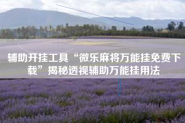 辅助开挂工具“微乐麻将万能挂免费下载”揭秘透视辅助万能挂用法