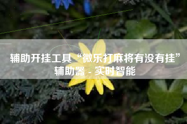 辅助开挂工具“微乐打麻将有没有挂”辅助器 - 实时智能