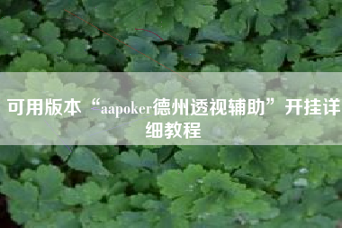 可用版本“aapoker德州透视辅助”开挂详细教程