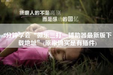 3分钟学会“微乐三打一辅助器最新版下载地址	”(原来确实是有插件)