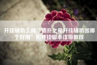 开挂辅助工具“德扑之星开挂辅助器哪个好用”附开挂脚本详细教程