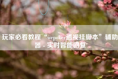玩家必看教程“wepoker透视挂脚本”辅助器 - 实时智能回复